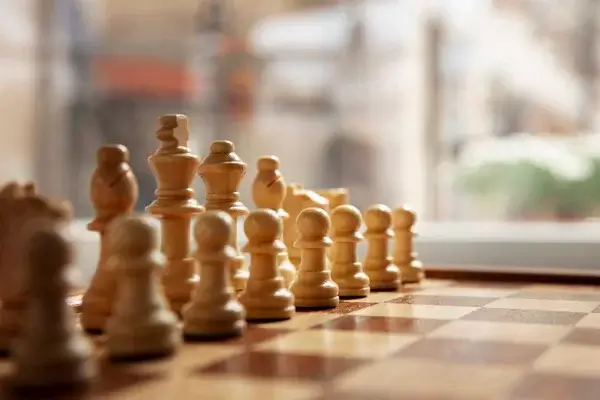 Лужский шахматист станет участником областного первенства “Ход конем”